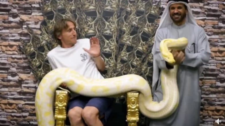 Luka Modrić vs Giant Python Viral Video: Real Madrid Star Being Super Scared of Snakes in Front of His Kids Is Funny and Relatable (Watch)