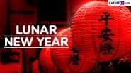 Chinese Migration in Lunar New Year 2025: Know All About Chunyun Period or China's Spring Festival Travel Rush, the World's Largest Annual Migration