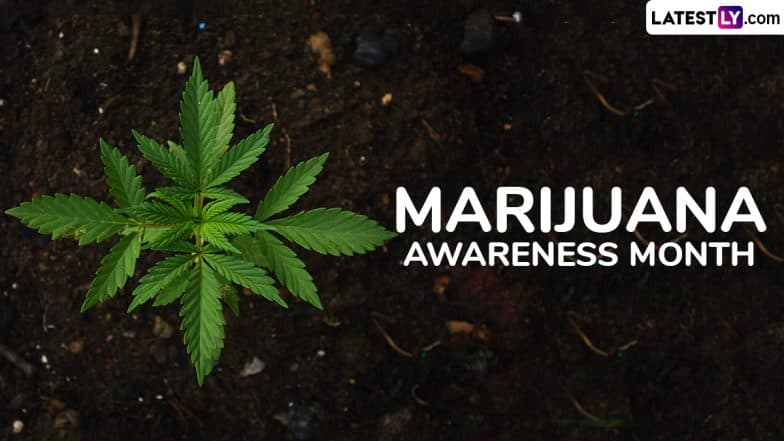 Everything You Need To Know About Marijuana Awareness Month 2025