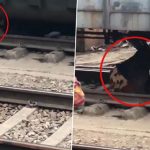 Uttar Pradesh: Woman Escapes Unhurt After Army Special Goods Train Runs Over Her at Mathura Junction Railway Station, Video Goes Viral