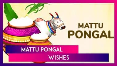 Mattu Pongal 2025 Wishes, Messages, Greetings and Quotes To Send on the Third Day of Pongal