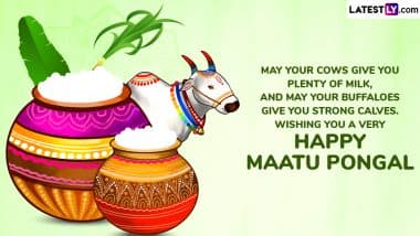 Happy Mattu Pongal 2025 Greetings and HD Images for Free Download Online: Celebrate the Third Day of Pongal Festival With Wishes, Messages and Wallpapers