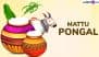 Mattu Pongal 2025 Wishes: Celebrate the Third Day of Pongal With WhatsApp Messages, HD Images, Greetings, Quotes and Wallpapers