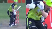 David Warner Accidently Hits Himself on His Head As Bat Breaks During Shot Attempt in Hobart Hurricanes vs Sydney Thunder BBL 2024–25 Match (Watch Video)