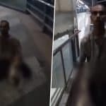 Mumbai: Man Caught on Camera Attempting Sex Assault on Dog on Footover Bridge, Disturbing Video Surfaces