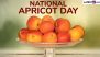 National Apricot Day 2025: Why Are Apricots Good for You? Unlock the Health and Nutrition Benefits of the Fruit