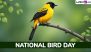 National Bird Day 2025 in the United States: Know the Date and Significance of the Day That Highlights the Need To Protect and Conserve the Bird Species