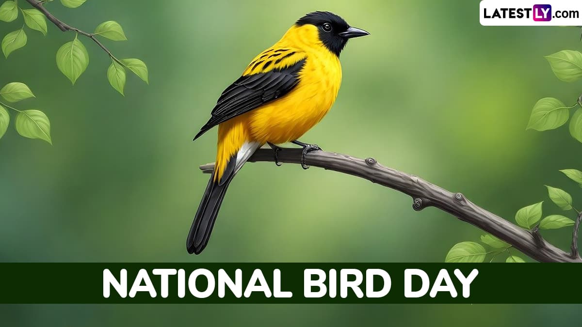 When Is National Bird Day 2025? Know the Date and Significance of the Day Observed in the US