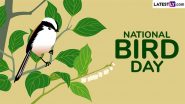 National Bird Day 2025: From Everglades National Park to Santa Ana National Wildlife Refuge, 5 Sanctuaries in US That Every Bird Enthusiast Must Visit