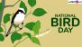 National Bird Day 2025: From Everglades National Park to Santa Ana National Wildlife Refuge, 5 Sanctuaries in US That Every Bird Enthusiast Must Visit