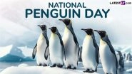 National Penguin Day 2025 Date and Significance: Everything To Know About the Day That Aims To Raise Awareness About the Conservation of Penguins