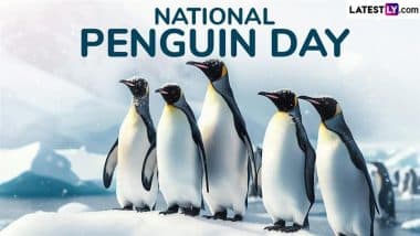 National Penguin Day 2025 Date and Significance: Everything To Know About the Day That Aims To Raise Awareness About the Conservation of Penguins