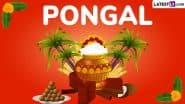 Rasam Recipe for Pongal 2025: How to Prepare This Heartwarming Dish? Watch Step-by-Step Video to Make the Recipe at Home for the Harvest Festival