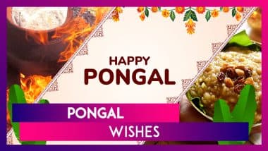 Pongal 2025 Wishes, Quotes, Messages and Greetings To Send on the Multi-Day Harvest Festival