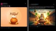 Pongal 2025 Greetings and Messages: Netizens Share Wishes, Wallpapers, HD Images and Quotes to Celebrate the Harvest Festival