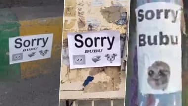 Mysterious ‘Sorry Bubu’ Posters Across Noida and Meerut Baffle Residents and Police in Uttar Pradesh, Viral Posts Spark Curiosity