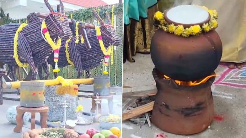 Sugarcane Bull Cart in Tamil Nadu: Kundukulam Farmer Senthil Kumar Creates 3,000 kg Sugarcane Bull Cart To Celebrate Pongal (Watch Video)