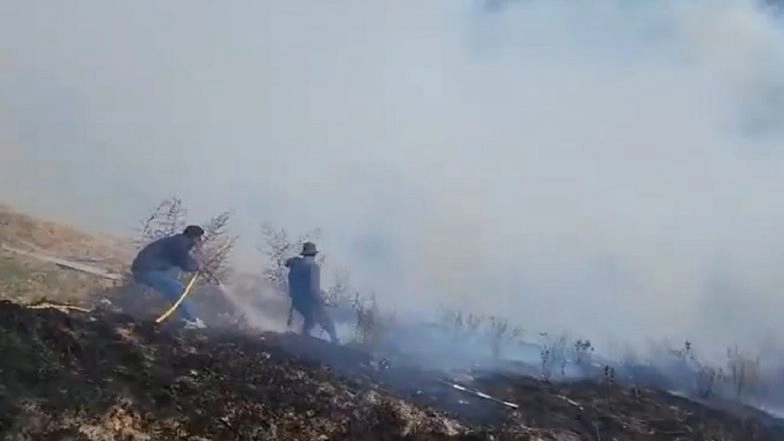 Wildfire in Arunachal Pradesh: Massive Wildfire Breaks Out Near Tawang Chu River in Lungla; No Casualties Reported (Watch Videos)