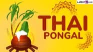 Thai Pongal 2025 Wishes: Share Happy Pongal Greetings With WhatsApp Messages, HD Images, Quotes and Wallpapers To Celebrate the Harvest Festival