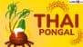 Thai Pongal 2025 Wishes: Share Happy Pongal Greetings With WhatsApp Messages, HD Images, Quotes and Wallpapers To Celebrate the Harvest Festival