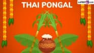 Thai Pongal 2025 Date and Shubh Muhurat: Know Sankranti Time, Auspicious Rituals and Significance To Celebrate Pongal Festival