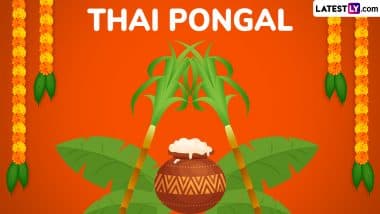 When Is Thai Pongal 2025? Date, Rituals and Significance Explained 