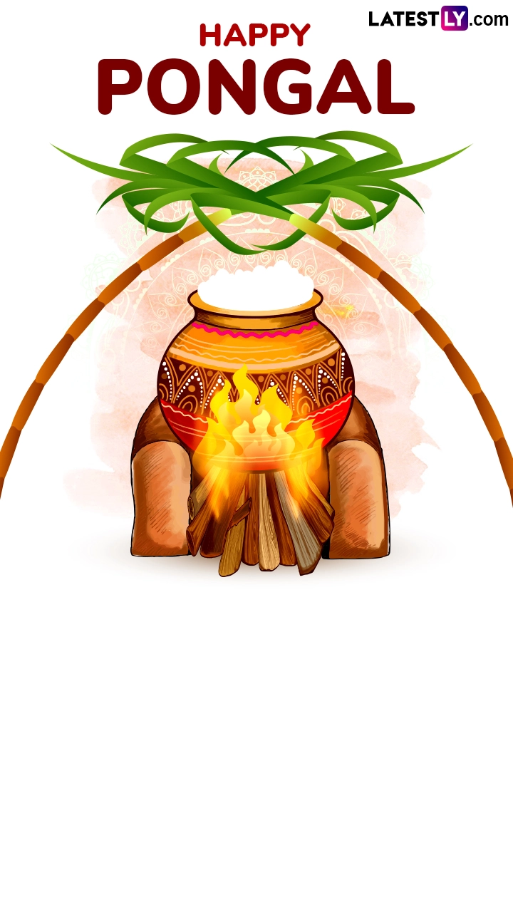 Happy Thai Pongal 2025 Wishes, Images and HD Wallpapers To Share With Family and Friends