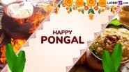 Thai Pongal 2025 Wishes: Share Happy Pongal Greetings With WhatsApp Messages, HD Images, Quotes and Wallpapers To Celebrate the Harvest Festival