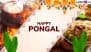 Thai Pongal 2025 Wishes: Share Happy Pongal Greetings With WhatsApp Messages, HD Images, Quotes and Wallpapers To Celebrate the Harvest Festival