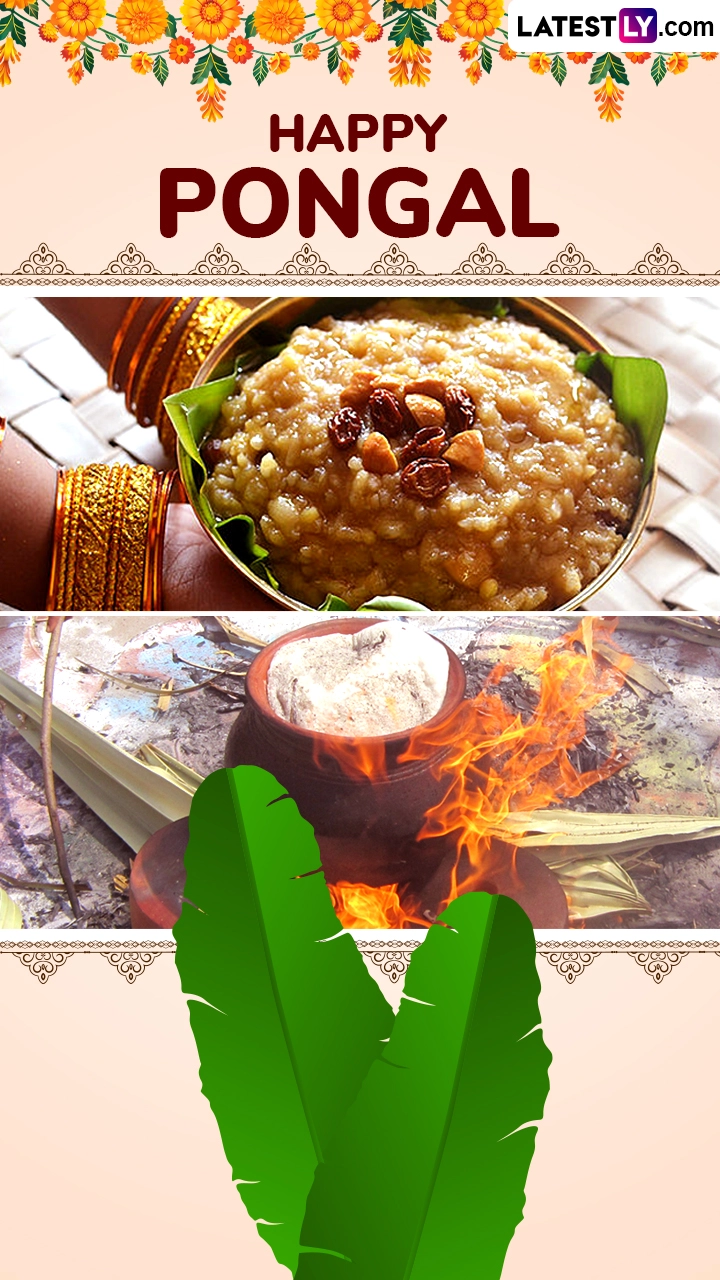 Happy Pongal 2025 Messages, Images and WhatsApp Status for Near and Dear Ones