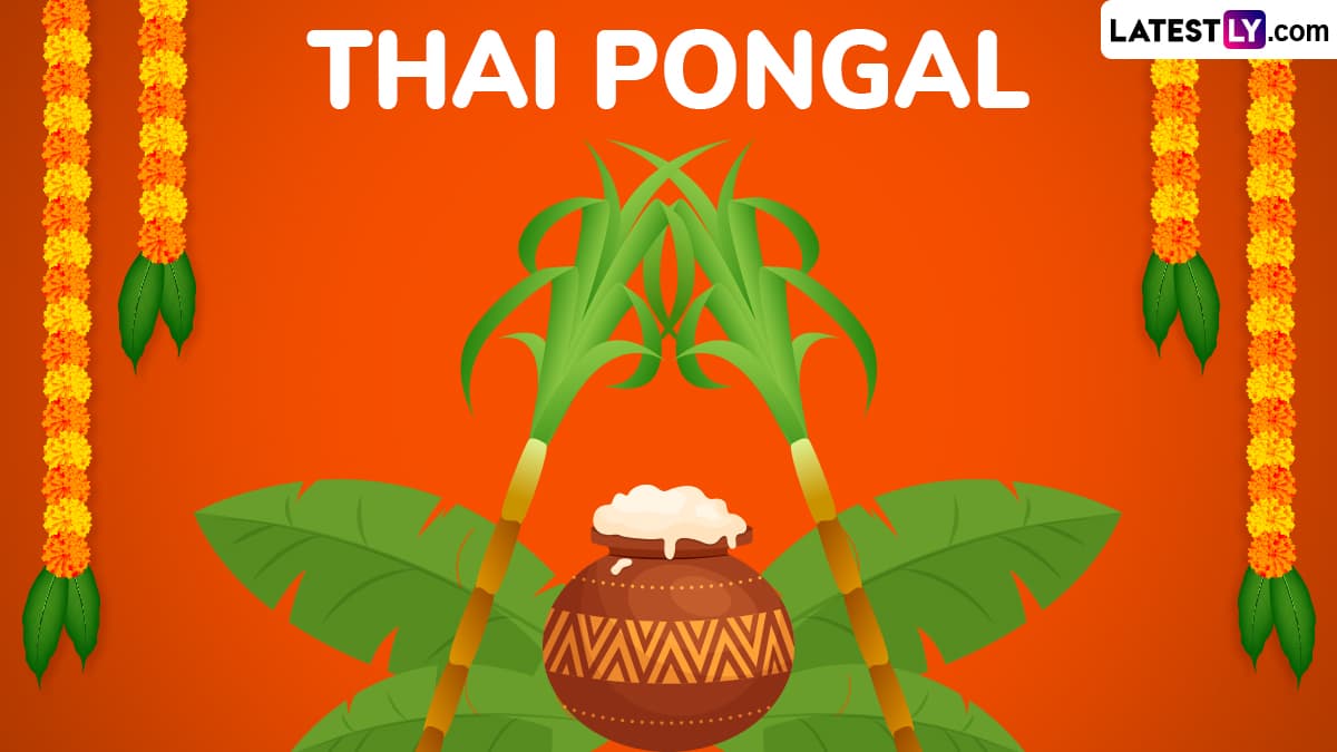 Festivals & Events News When Is Thai Pongal 2025? Date, Rituals and