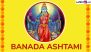 When Is Banada Ashtami 2025? Know Shakambhari Navratri Date, Auspicious Timings, Rituals and Significance of the Holy Fast Dedicated to Goddess Shakambhari