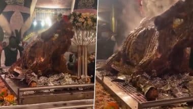 Whole Roasted Camel Served As Grand Feast Centrepiece at Lavish Wedding in Lahore Goes Viral, Leaving Guests Spellbound (Watch Video)