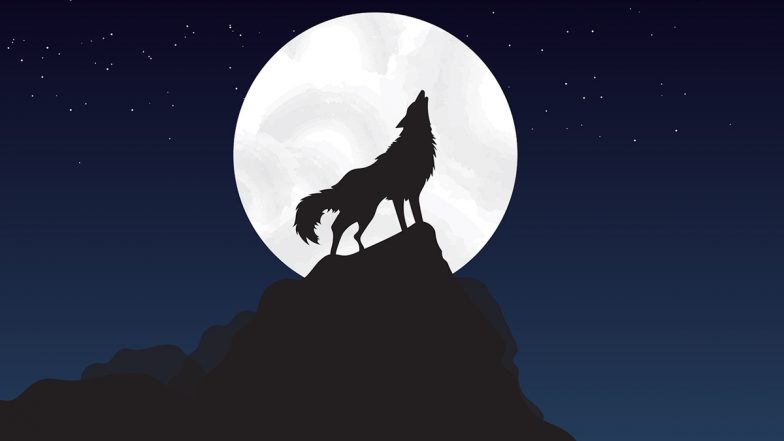 What Is Wolf Moon? How To Watch January's Full Moon? All You Need To Know