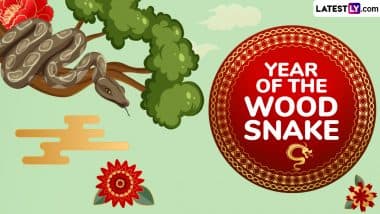 Chinese New Year 2025 – The Year of the Wood Snake: Understanding the Chinese Zodiac and Its 12 Animal Signs