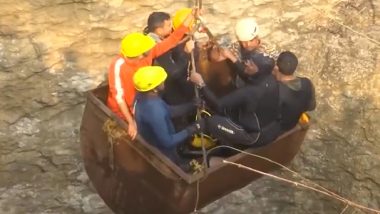 Assam Mining Accident: Body of 1 of 9 Trapped Workers Recovered From Coal Mine at Umrangso in Dima Hasao District (Watch Video)