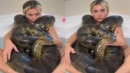 One Girl One Anaconda Viral Video Link Is Trending, Here's What You Can Expect From the Search Results!