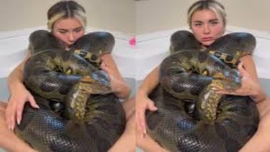 One Girl One Anaconda Viral Video Link Is Trending, Here's What You Can Expect From the Search Results!