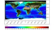ISRO Shares Picture of  Phytoplankton Concentration on Global Scale Captured From EOS-06, India's 3rd-Generation Satellite in Oceansat Series