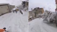 Turkey Snowfall Video: Citizen Snowboard Through Narrow Lanes, Clip Goes Viral