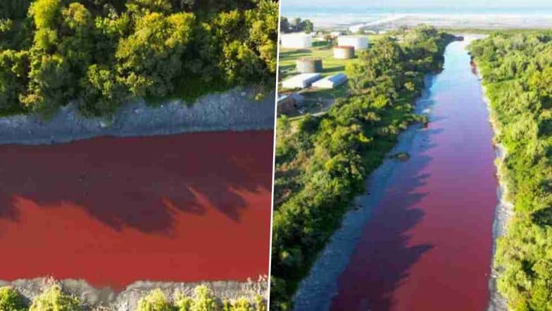 Argentina: Chemical Dumping Suspected As Canal Water Turns Blood-Red in Sarandi Near Buenos Aires, Investigation Underway (See Pics and Video)