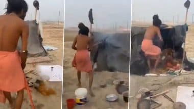 Maha Kumbh Mela 2025: Family Cooks Chicken at Mahakumbh, Attacked, Abused by Crowd (Watch Video)