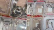 Delhi: Indian Passengers Caught Smuggling Illegal Exotic Wildlife Including Ball Pythons, Crested Gecko and Millipedes From Bangkok at IGI Airport; Probe Underway (Watch Video)