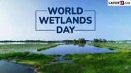 World Wetlands Day 2025 Date and Theme: Know History and Significance of the Day That Raises Awareness About the Importance of Wetlands