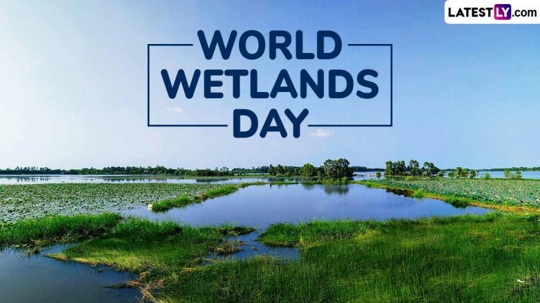 World Wetlands Day 2025 Date and Theme Know History and Significance