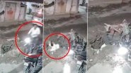 Vadodara: Bike Rider Slips and Falls Into Pit Dug by Municipality in Gujarat&rsquo;s Dabhoi, CCTV Video Surfaces