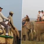 EAM Dr S Jaishankar, 45 Ambassadors Enjoy Elephant Safari at Assam’s Kaziranga National Park (Watch Video)