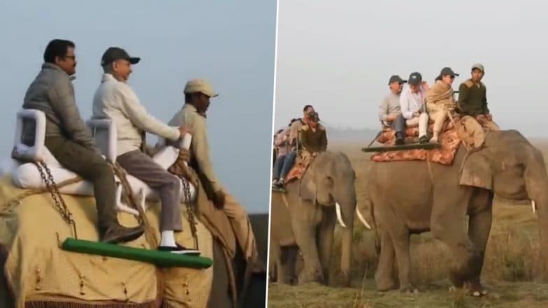 EAM Dr S Jaishankar, 45 Ambassadors Enjoy Elephant Safari at Assam슬롯사이트s Kaziranga National Park (Watch Video)