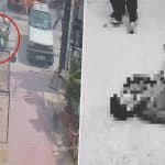 Murder Caught on Camera in Hyderabad: Man Stabs Father to Death in Broad Daylight in Telangana’s Kushaiguda, Arrested After Disturbing Video Goes Viral