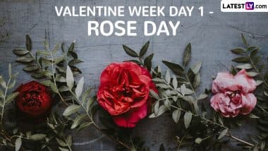 Rose Day 2025 Date in Valentine Week: Know the Significance, Celebrations and All About the Day That Marks the Beginning of the Week of Love